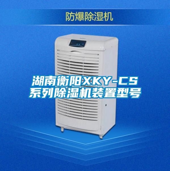 湖南衡阳XKY-CS系列除湿机装置型号