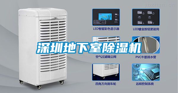 深圳地下室除湿机