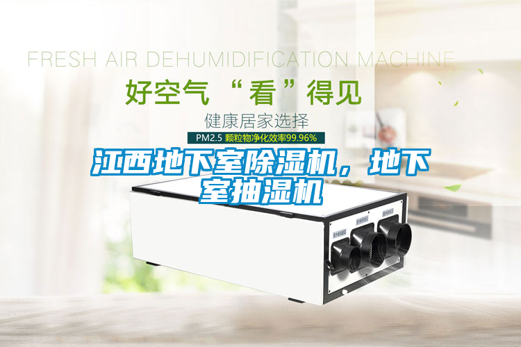 江西地下室除湿机，地下室抽湿机