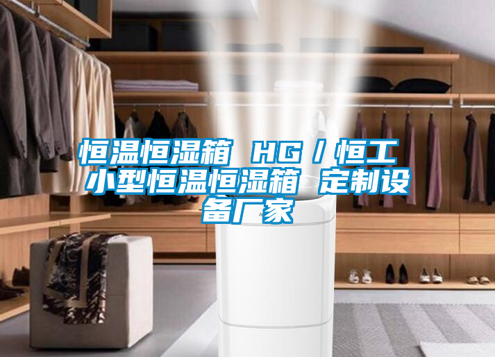 恒温恒湿箱 HG／恒工 小型恒温恒湿箱 定制设备厂家