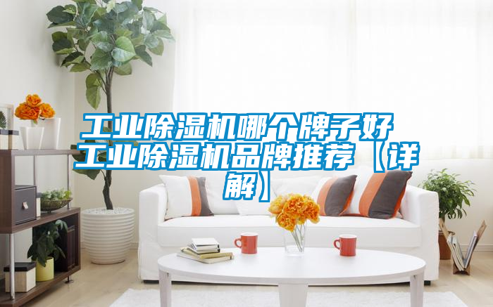 工业除湿机哪个牌子好 工业除湿机品牌推荐【详解】