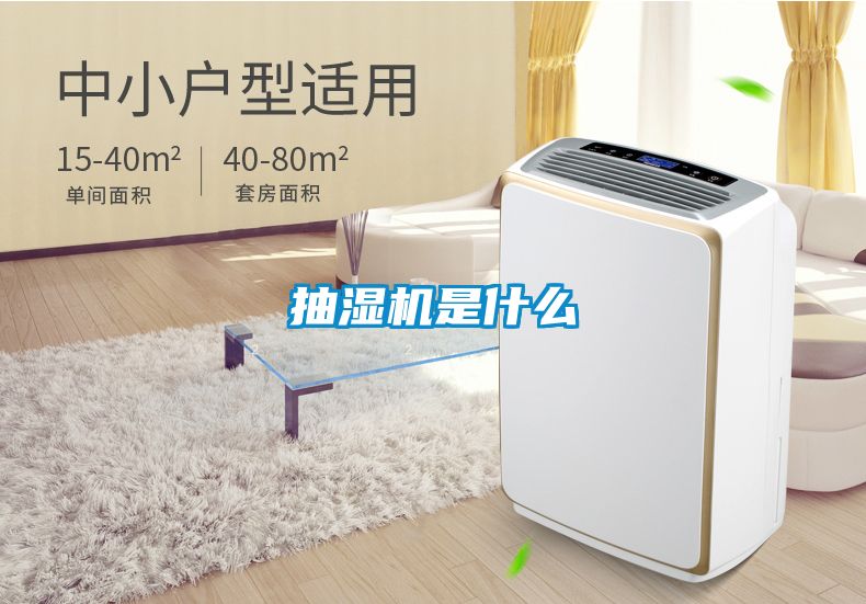 抽湿机是什么