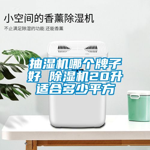 抽湿机哪个牌子好 除湿机20升适合多少平方