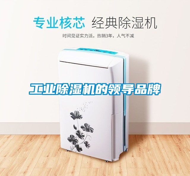 工业除湿机的领导品牌