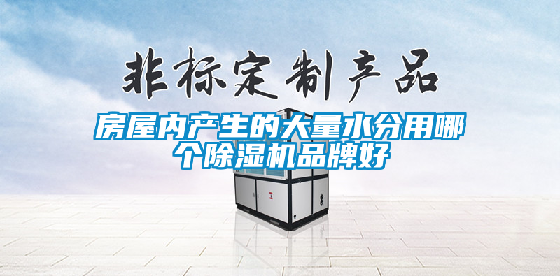 房屋内产生的大量水分用哪个除湿机品牌好