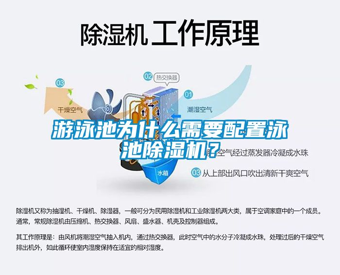 游泳池为什么需要配置泳池除湿机？