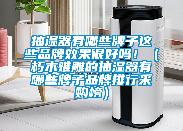 抽湿器有哪些牌子这些品牌效果很好吗！（朽木难雕的抽湿器有哪些牌子品牌排行采购榜）