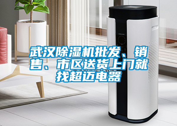 武汉除湿机批发、销售、市区送货上门就找超迈电器