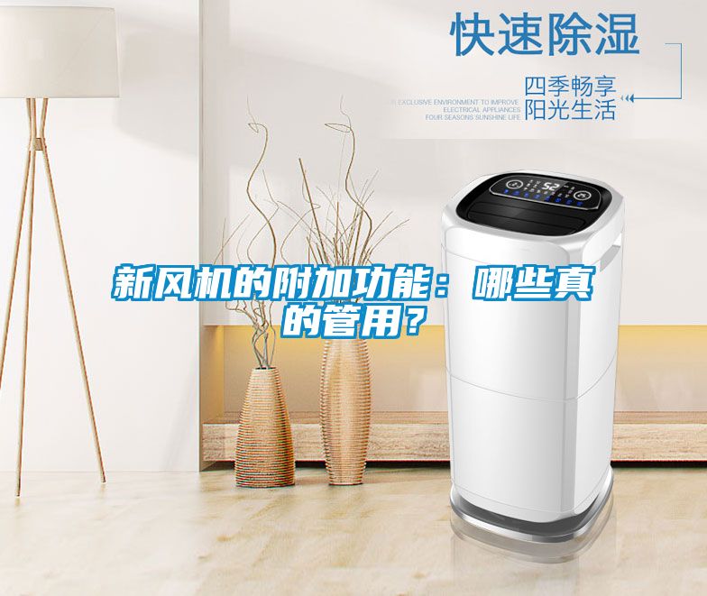 新风机的附加功能：哪些真的管用？