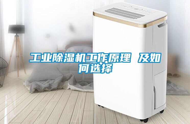 工业除湿机工作原理 及如何选择