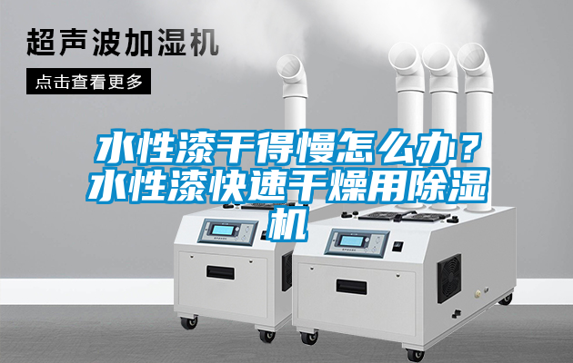 水性漆干得慢怎么办？水性漆快速干燥用除湿机