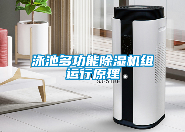 泳池多功能除湿机组运行原理