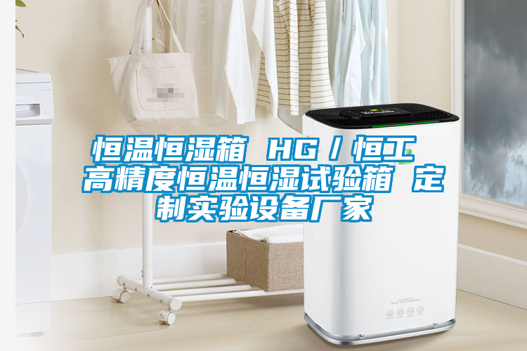 恒温恒湿箱 HG／恒工 高精度恒温恒湿试验箱 定制实验设备厂家