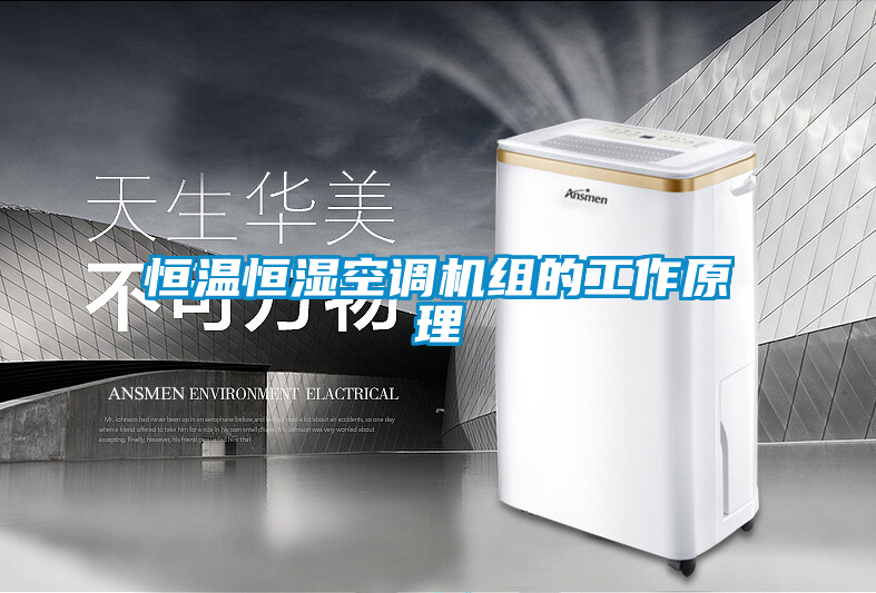 恒温恒湿空调机组的工作原理