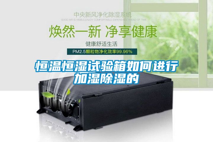 恒温恒湿试验箱如何进行加湿除湿的