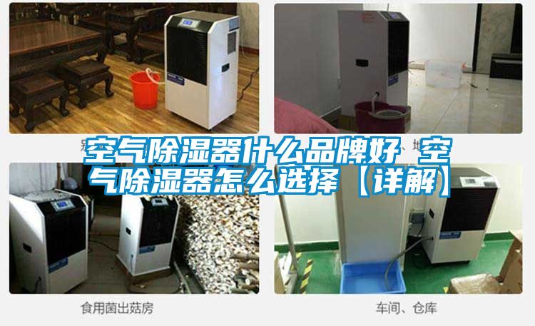 空气除湿器什么品牌好 空气除湿器怎么选择【详解】