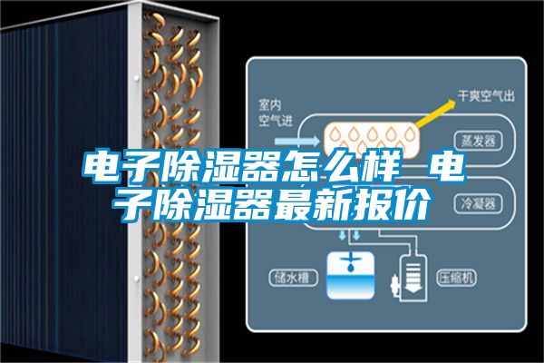 电子除湿器怎么样 电子除湿器最新报价