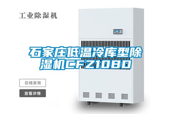 石家庄低温冷库型除湿机CFZ10BD