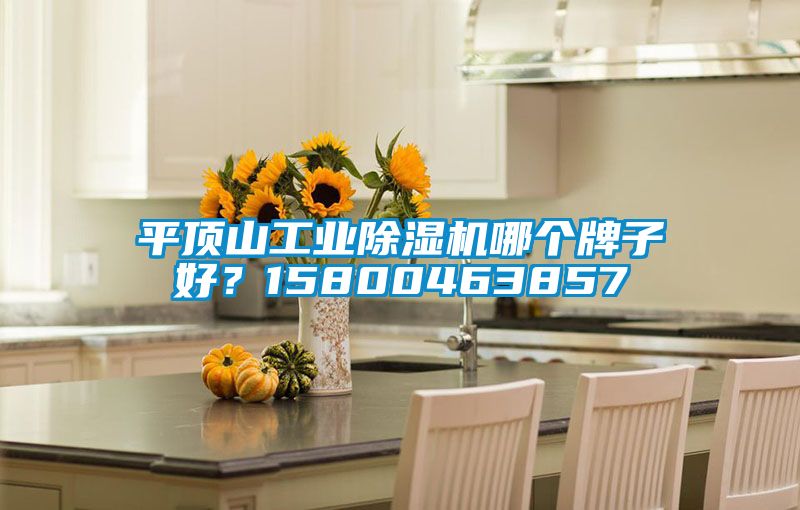 平顶山工业除湿机哪个牌子好？15800463857
