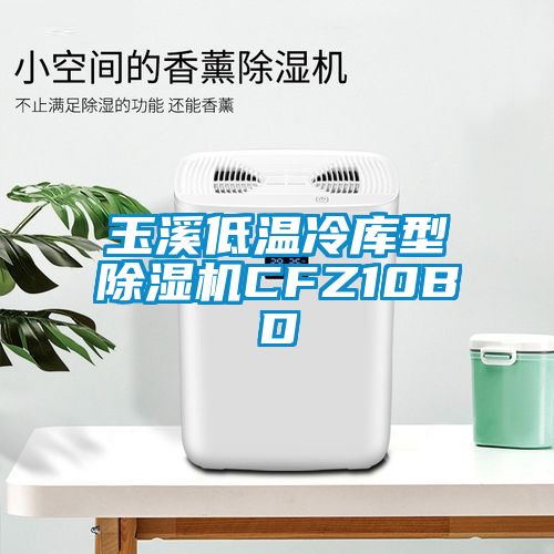 玉溪低温冷库型除湿机CFZ10BD