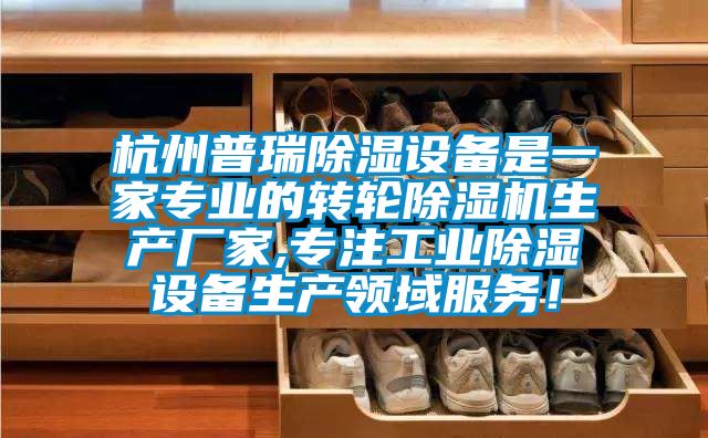 杭州普瑞除湿设备是一家专业的转轮除湿机生产厂家,专注工业除湿设备生产领域服务！