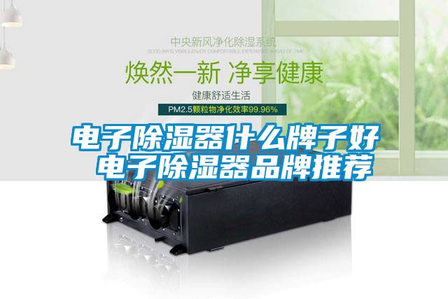 电子除湿器什么牌子好 电子除湿器品牌推荐