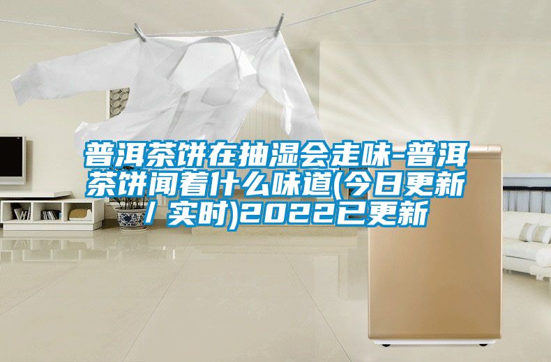 普洱茶饼在抽湿会走味-普洱茶饼闻着什么味道(今日更新／实时)2022已更新