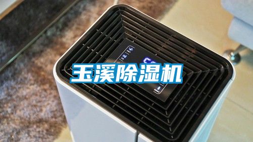 玉溪除湿机