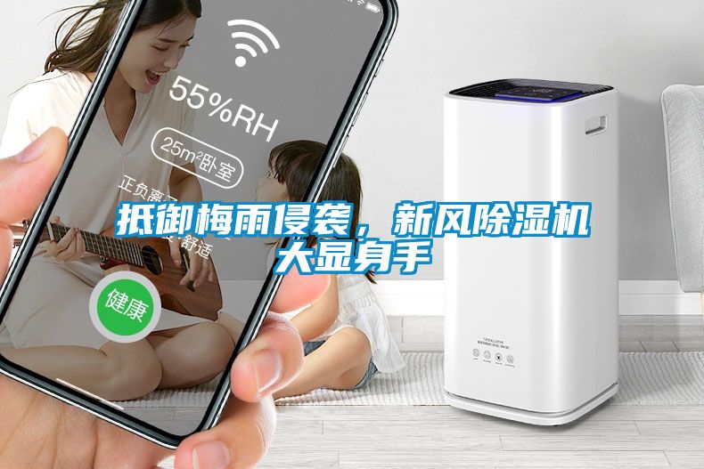 抵御梅雨侵袭，新风除湿机大显身手
