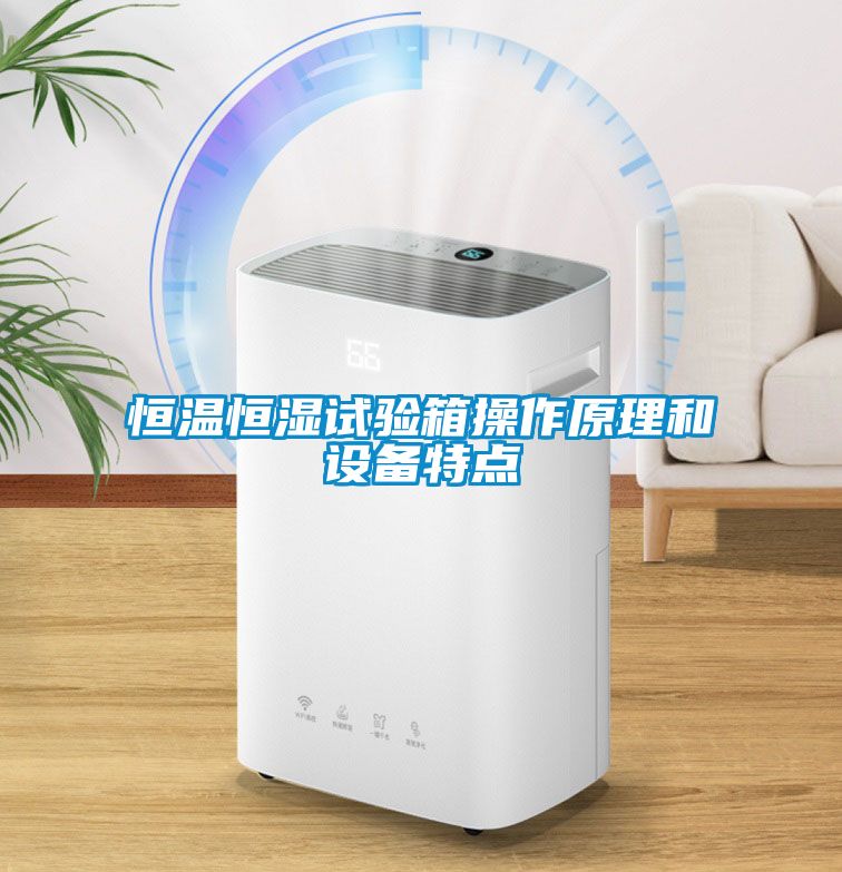 恒温恒湿试验箱操作原理和设备特点