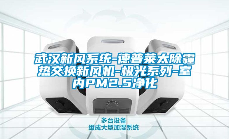 武汉新风系统-德普莱太除霾热交换新风机-极光系列-室内PM2.5净化