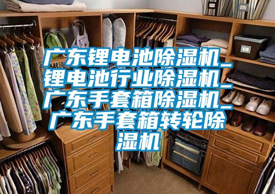 广东锂电池除湿机_锂电池行业除湿机_广东手套箱除湿机_广东手套箱转轮除湿机