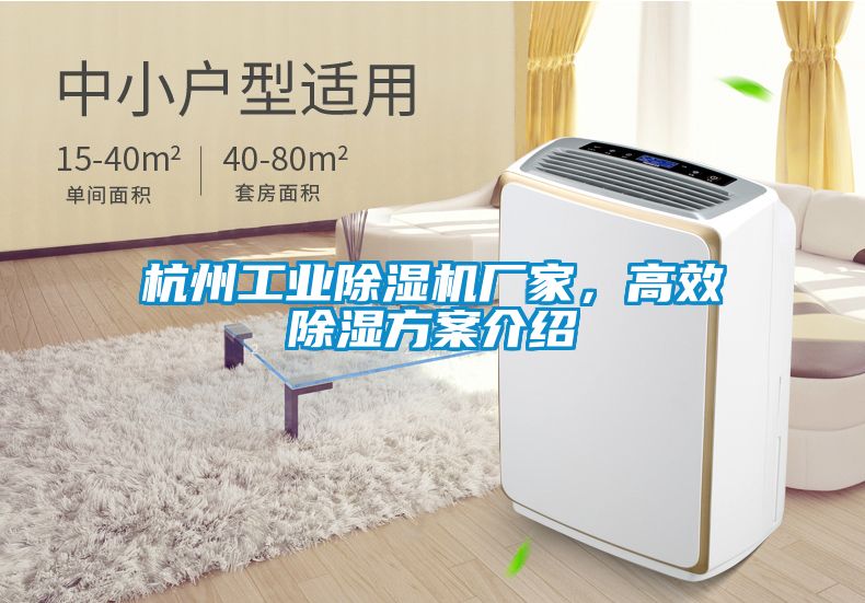 杭州工业除湿机厂家，高效除湿方案介绍