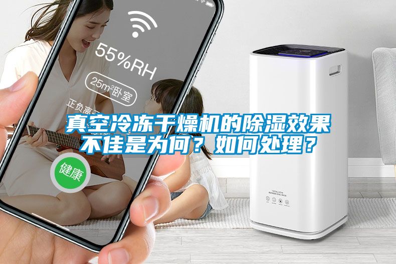 真空冷冻干燥机的除湿效果不佳是为何？如何处理？