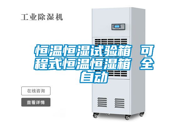 恒温恒湿试验箱 可程式恒温恒湿箱 全自动