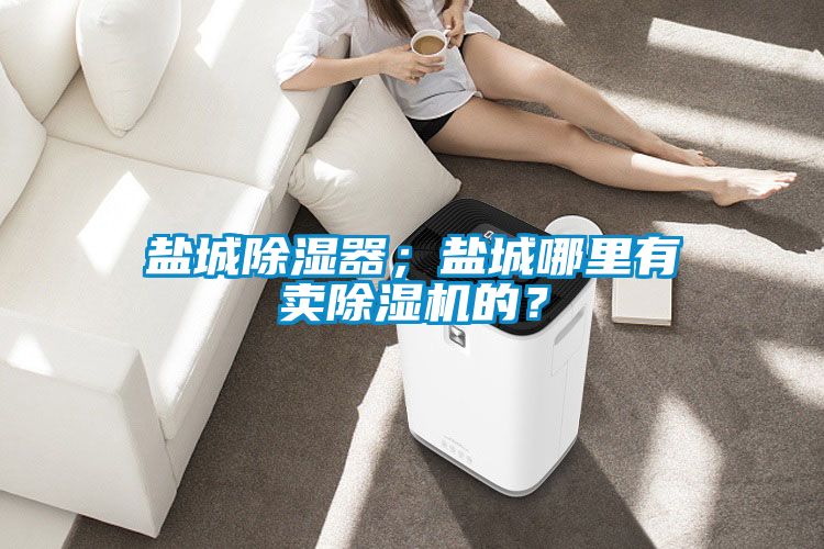 盐城除湿器；盐城哪里有卖除湿机的？