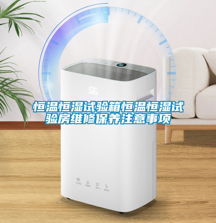 恒温恒湿试验箱恒温恒湿试验房维修保养注意事项