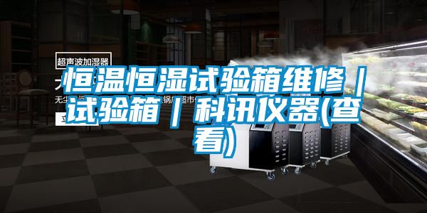 恒温恒湿试验箱维修｜试验箱｜科讯仪器(查看)