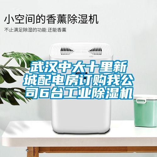 武汉中大十里新城配电房订购我公司6台工业除湿机