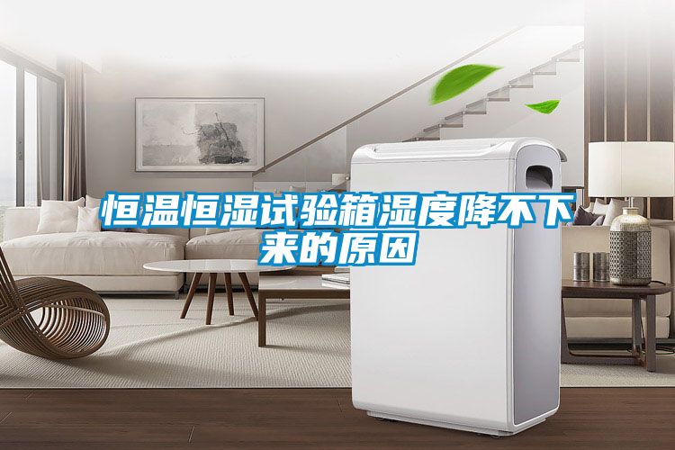 恒温恒湿试验箱湿度降不下来的原因