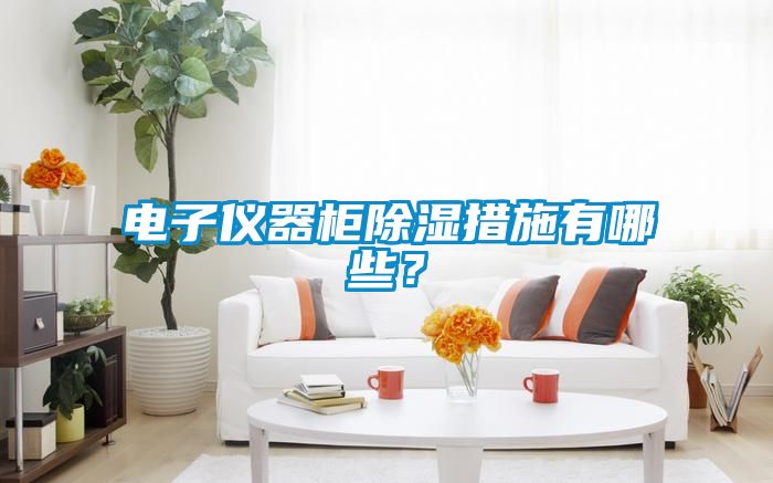 电子仪器柜除湿措施有哪些？