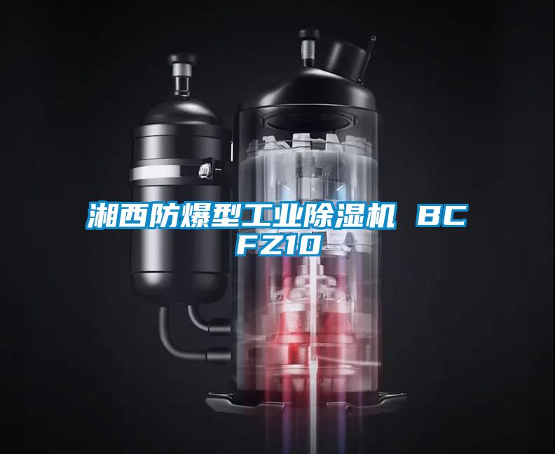 湘西防爆型工业除湿机 BCFZ10