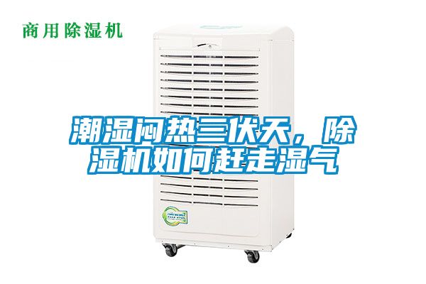 潮湿闷热三伏天，除湿机如何赶走湿气