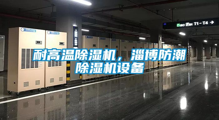 耐高温除湿机,淄博防潮除湿机设备