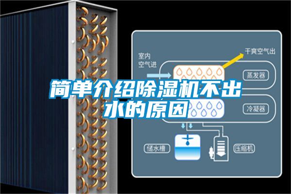 简单介绍除湿机不出水的原因