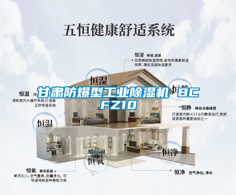 甘肃防爆型工业除湿机 BCFZ10