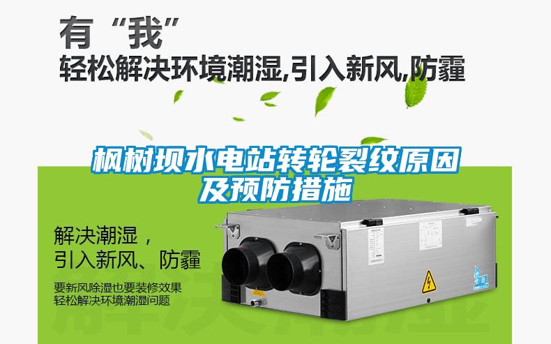 枫树坝水电站转轮裂纹原因及预防措施