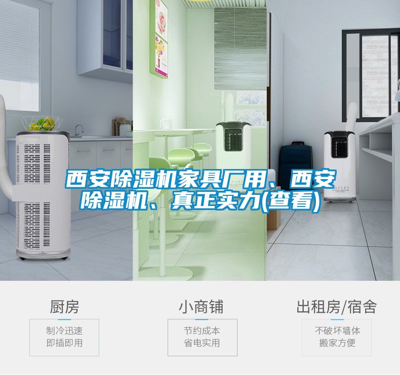 西安除湿机家具厂用、西安除湿机、真正实力(查看)
