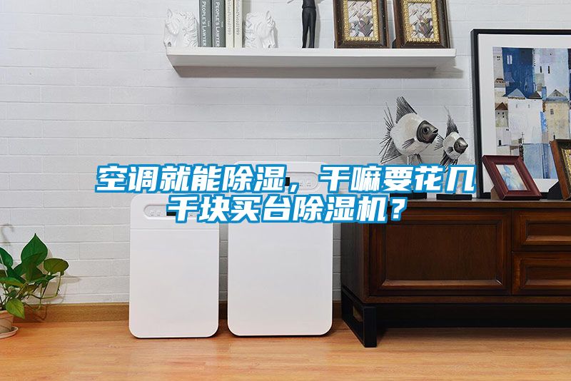 空调就能除湿，干嘛要花几千块买台除湿机？