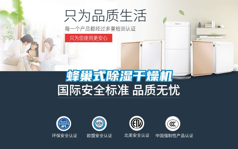 蜂巢式除湿干燥机